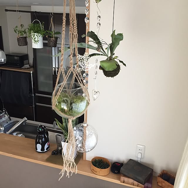 yuki0511さんの実例写真
