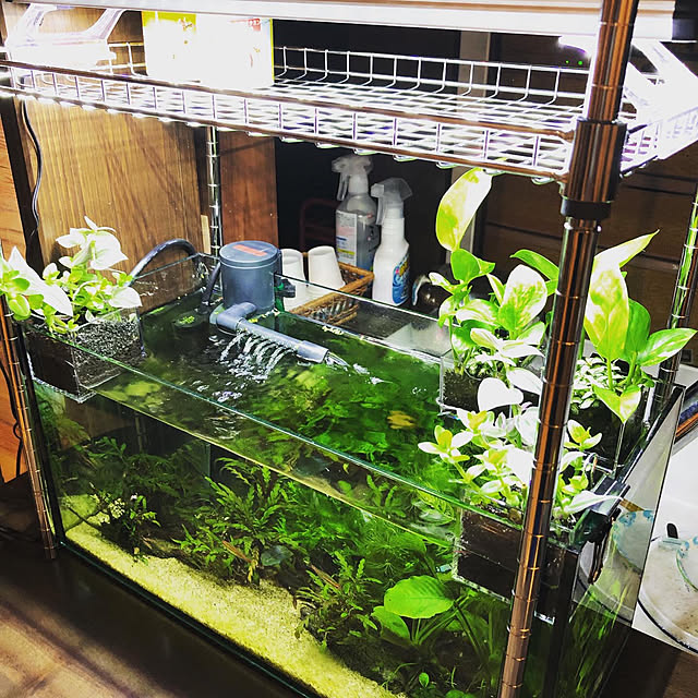 3roomさんの実例写真