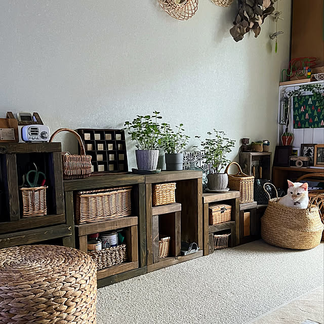mohhaさんの実例写真