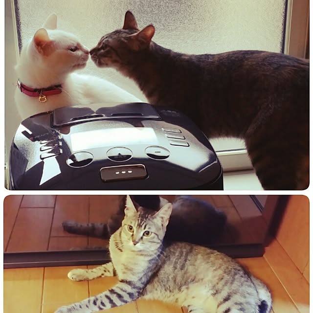 amu_latteさんの実例写真