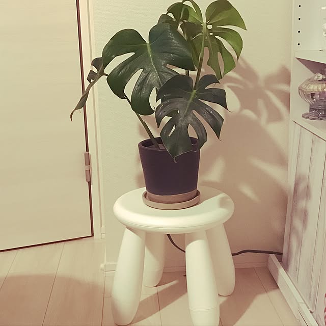 hiroさんの実例写真