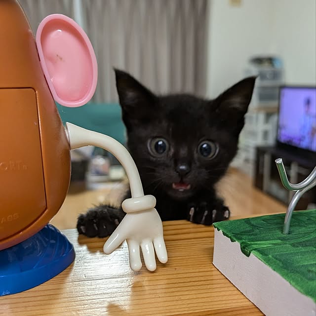 MyuRuuさんの実例写真