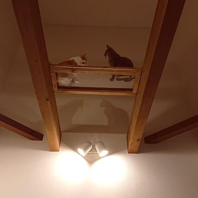 taka-kiさんの実例写真