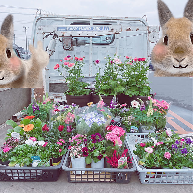 meiさんの実例写真