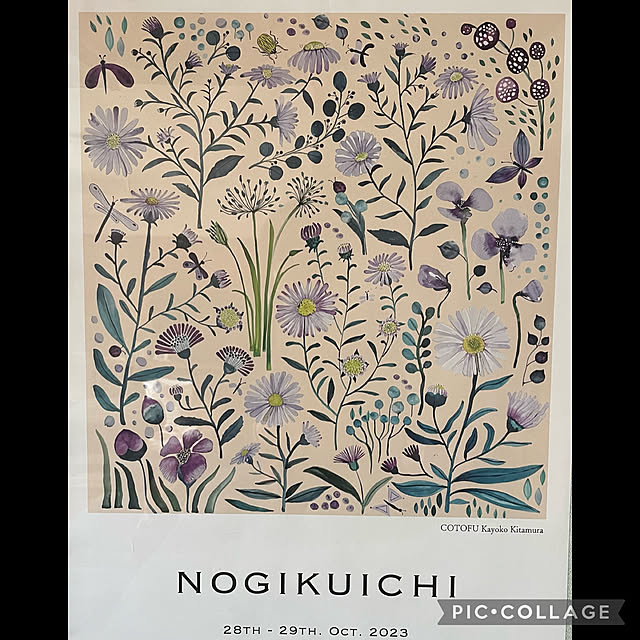 buchiさんの部屋