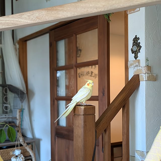 akiさんの部屋