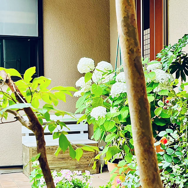NAOさんの部屋