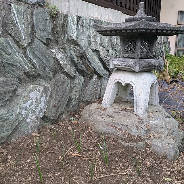 kuririnmamaさんの実例写真