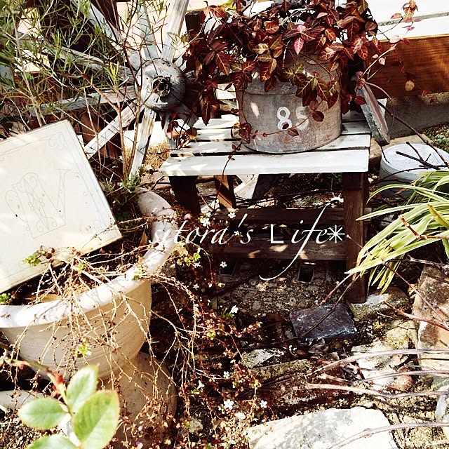 sitoraさんの実例写真