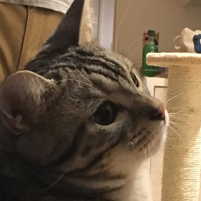 maripoさんの実例写真