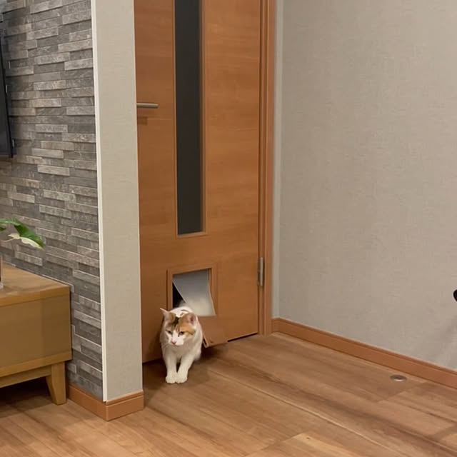 ikuzakさんの部屋