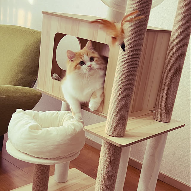 junさんの部屋