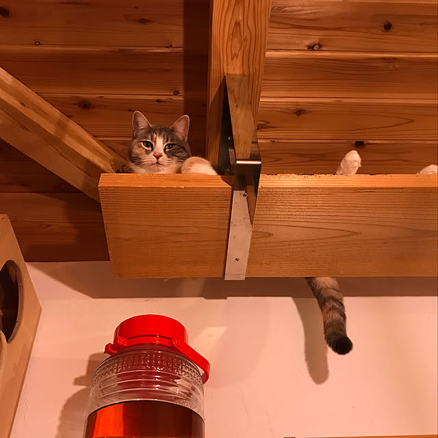 sakurasakuさんの実例写真