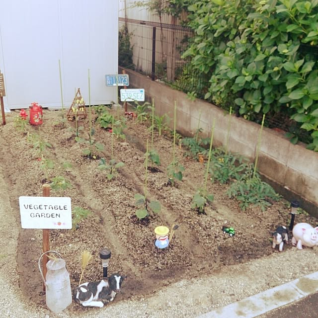 miiiiさんの実例写真