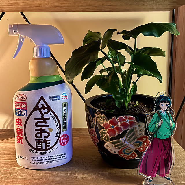 Fleur_さんの部屋