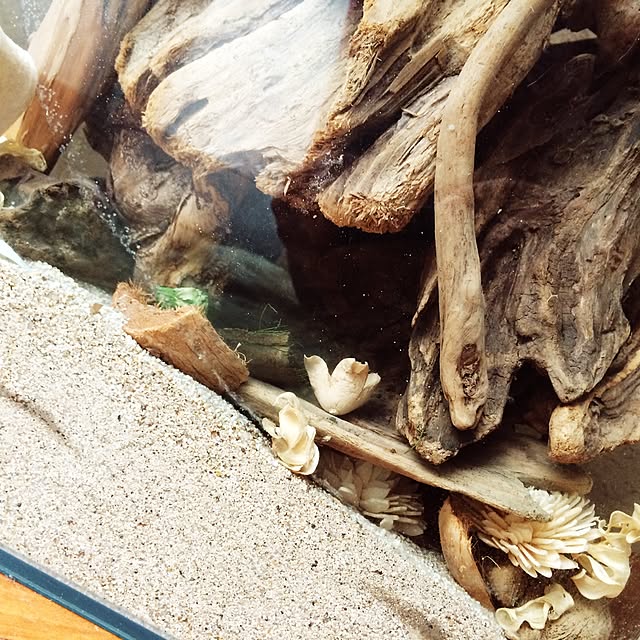 kznrさんの実例写真
