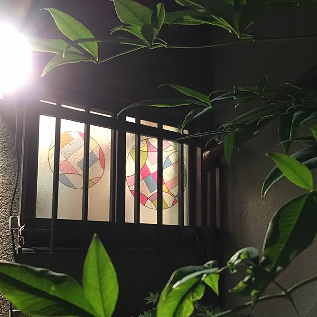 sakuranboさんの実例写真