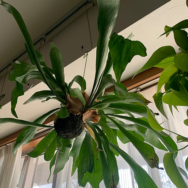 Aqettyさんの部屋