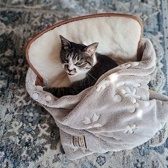 shinoさんの部屋