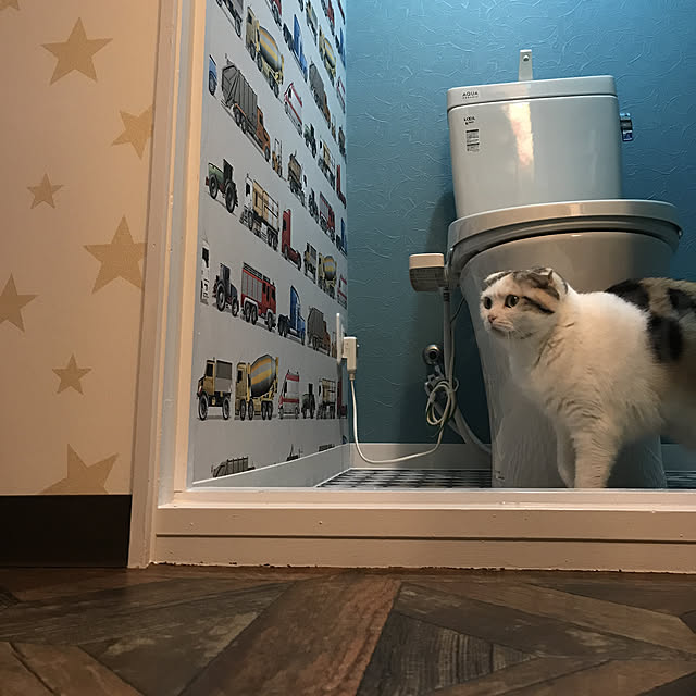 Minminさんの実例写真