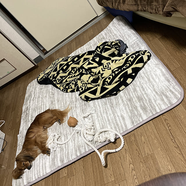 toratanさんの実例写真
