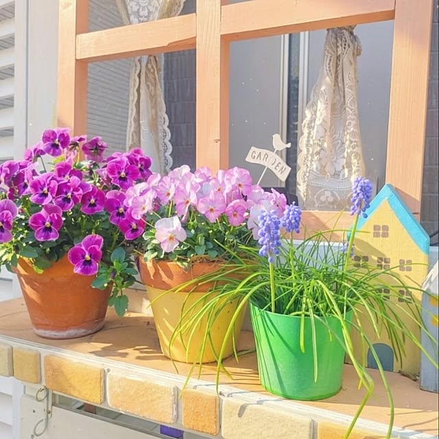 rumiさんの実例写真