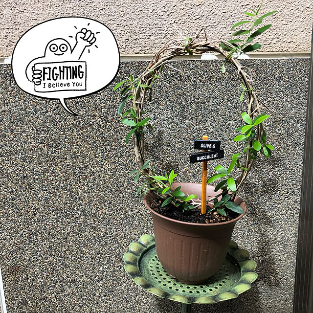 bm.aoiさんの実例写真