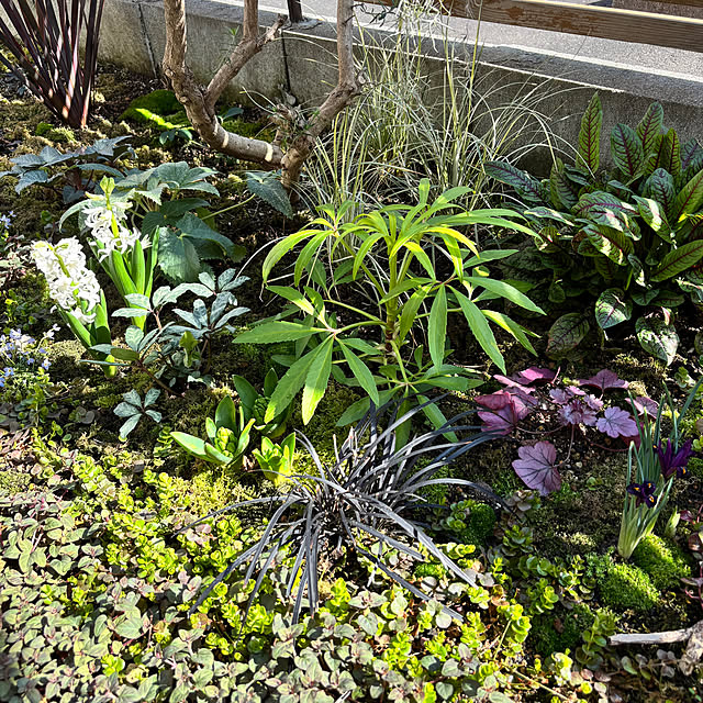 kyoko1124koさんのお部屋の写真