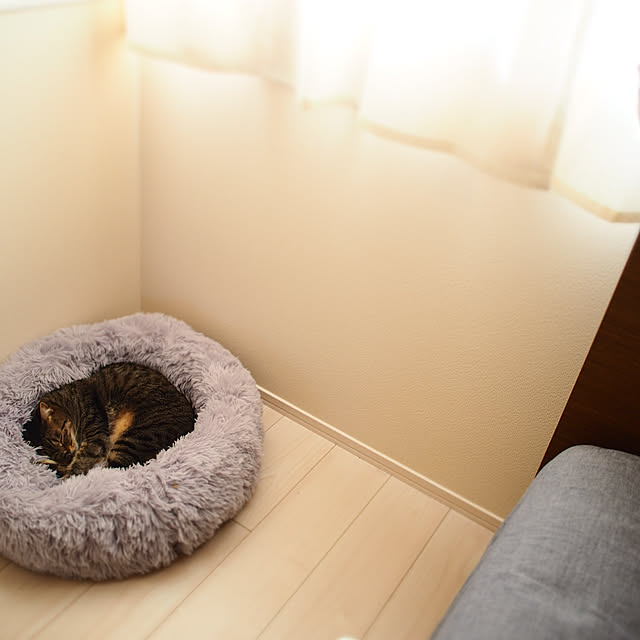 soeroomさんの実例写真