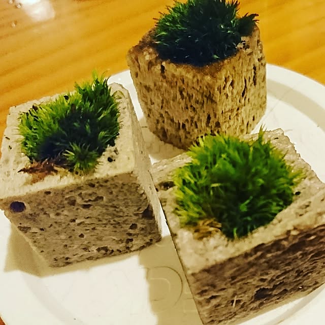 nijintieloveさんの実例写真