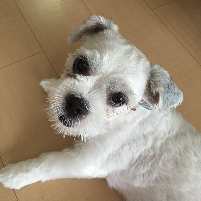 emiさんの実例写真