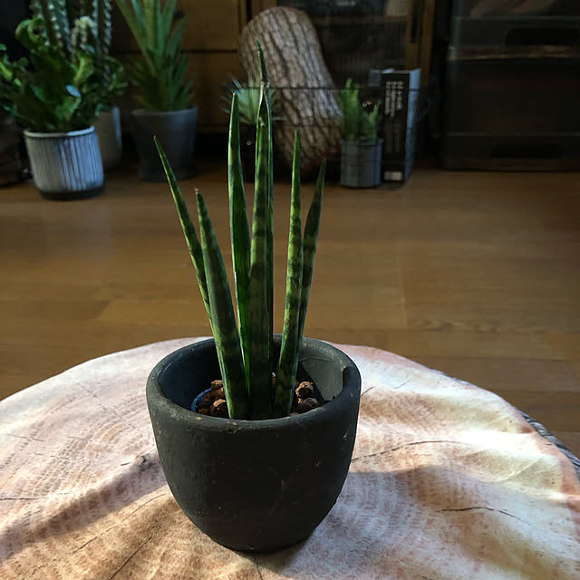 rintarotantan7さんの実例写真