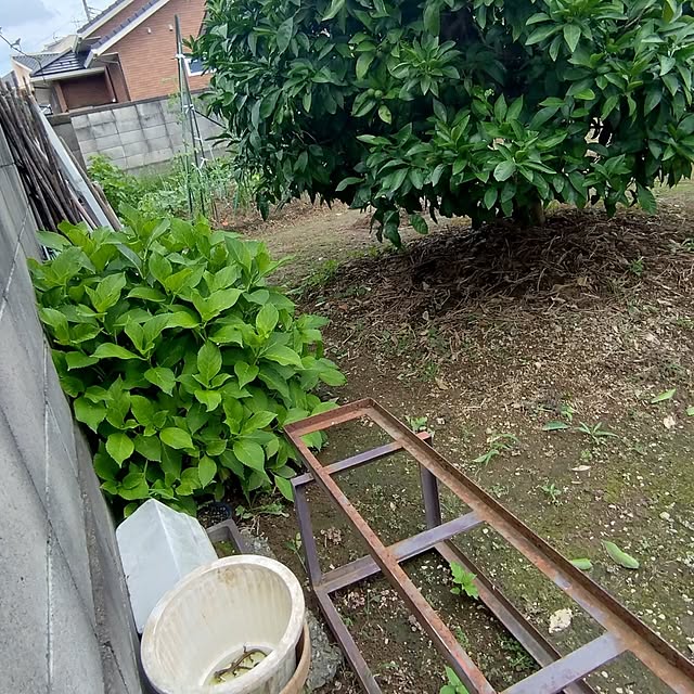 NOAHさんの部屋