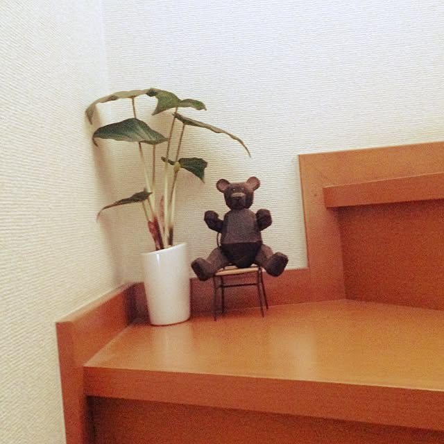 chiekawa63さんの実例写真