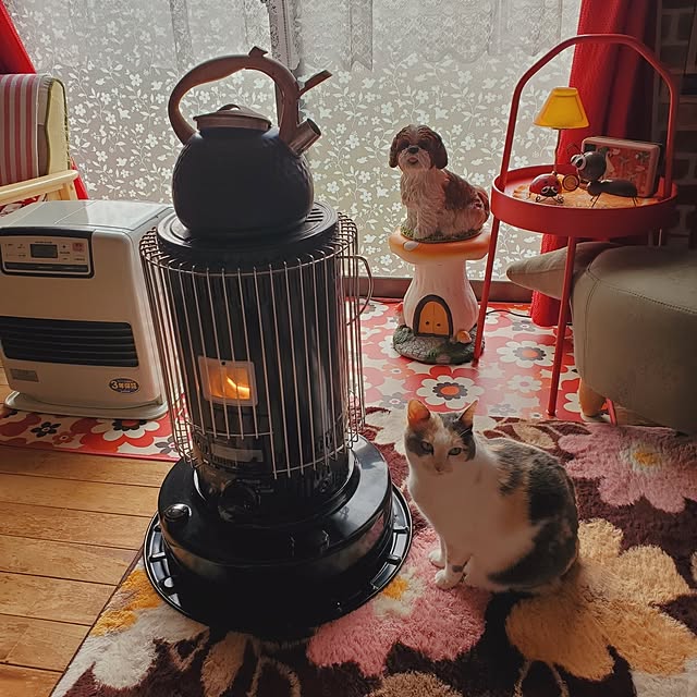 kumutanさんの実例写真