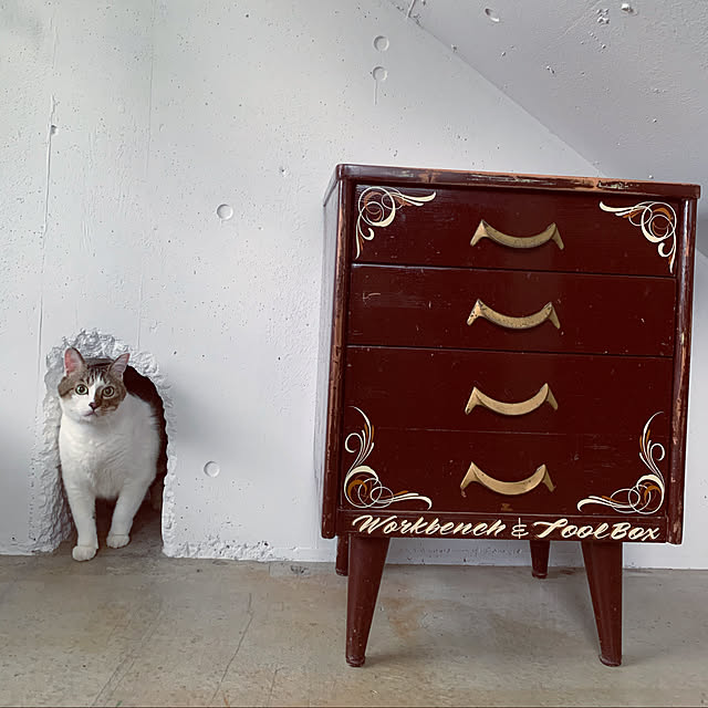 Lisaさんの実例写真
