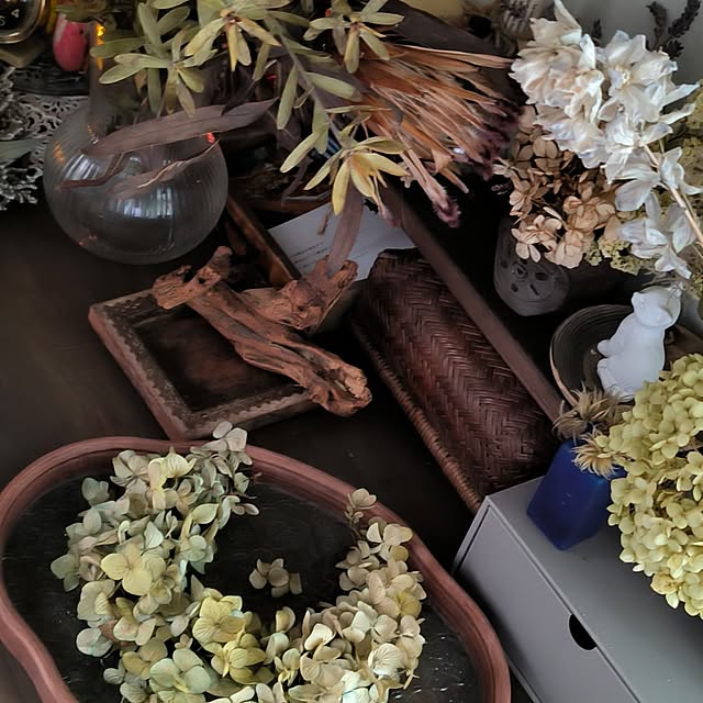 koyutan-mjmさんの部屋