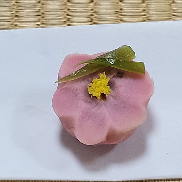 ANTENNAさんの実例写真