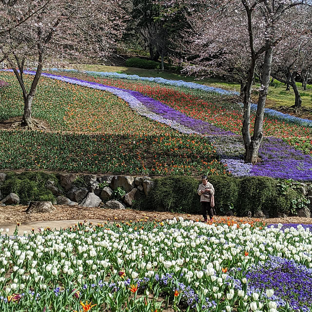 karmirena1527さんの実例写真