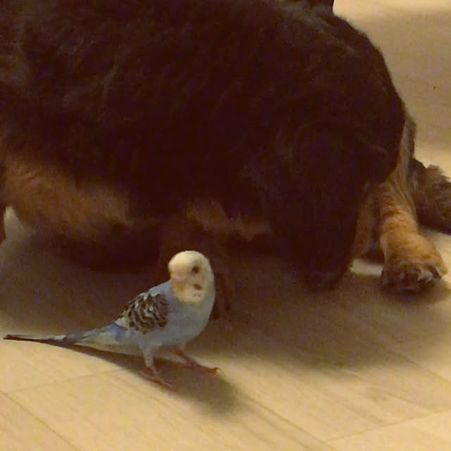 ohanaさんの実例写真