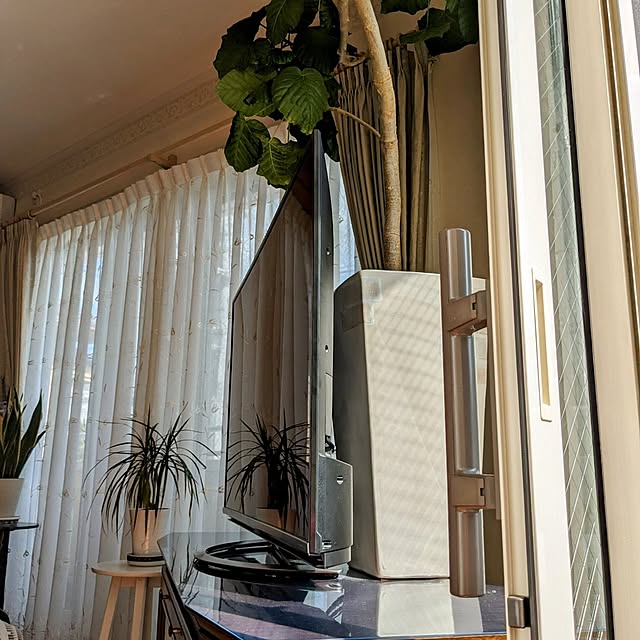 annaさんの部屋