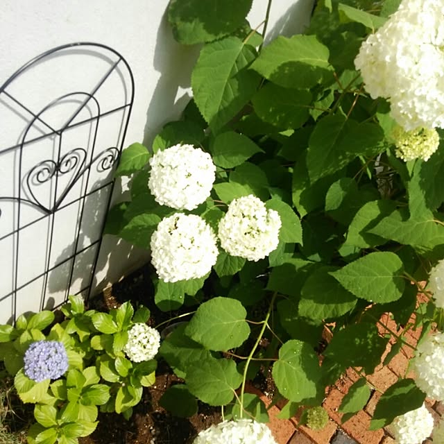 keikoさんの実例写真