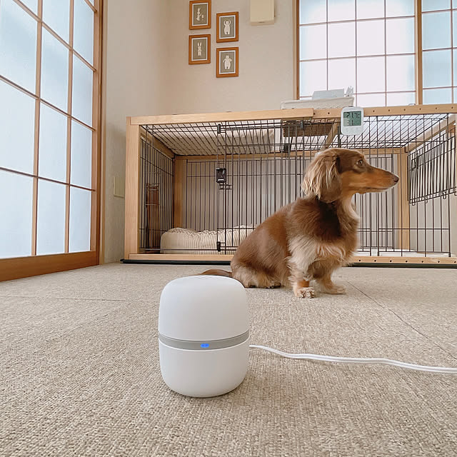 rinoさんの部屋