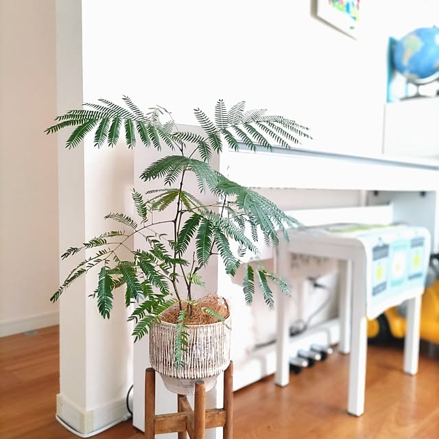 Haさんの部屋