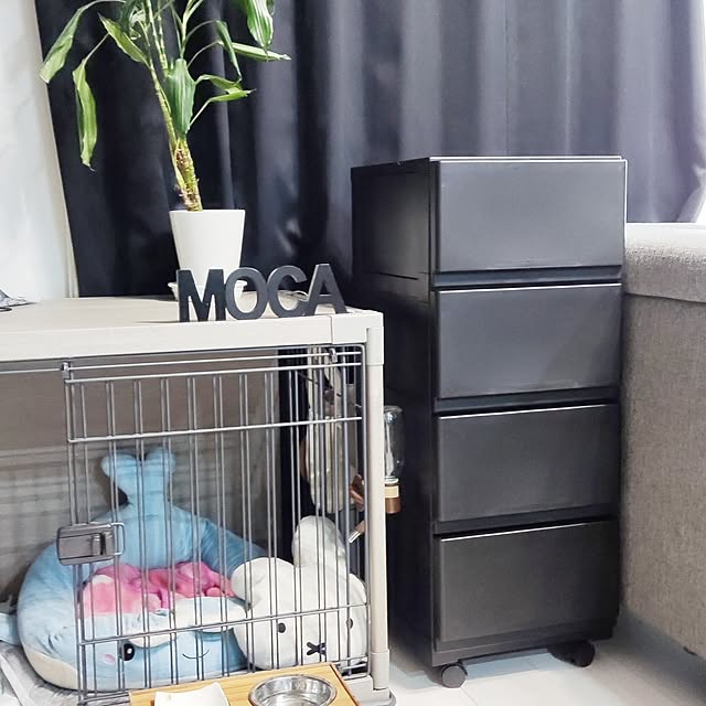 mmyrsさんの実例写真