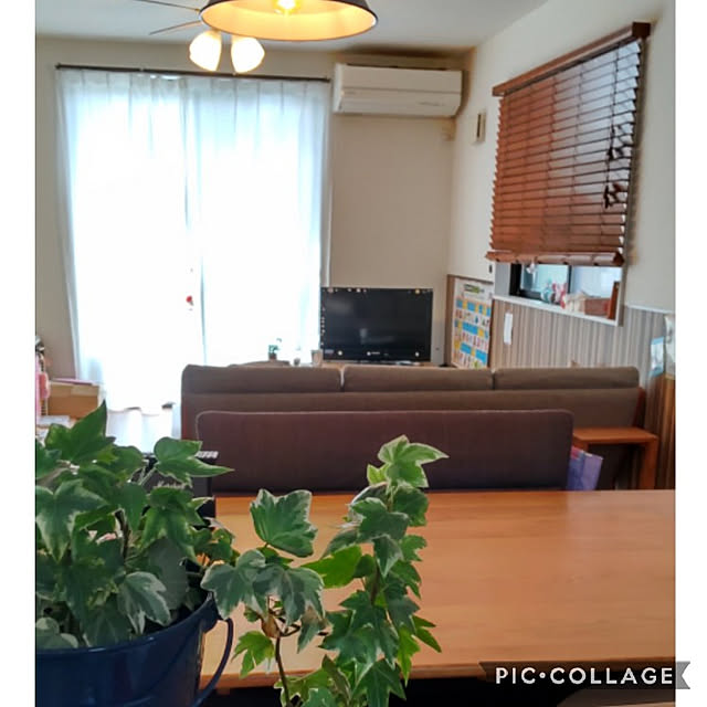 miaoさんの実例写真