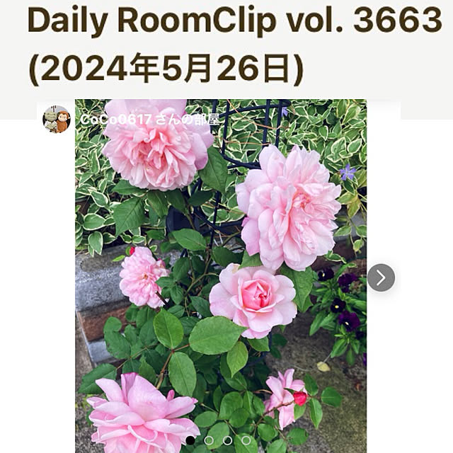 CoCo0617さんの実例写真