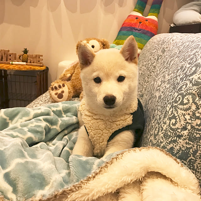 Nicoleさんの実例写真