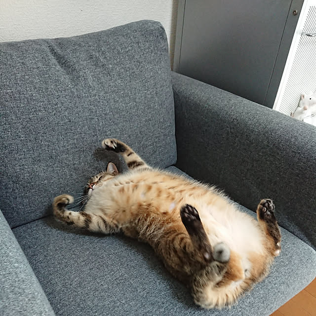 maikyさんの実例写真