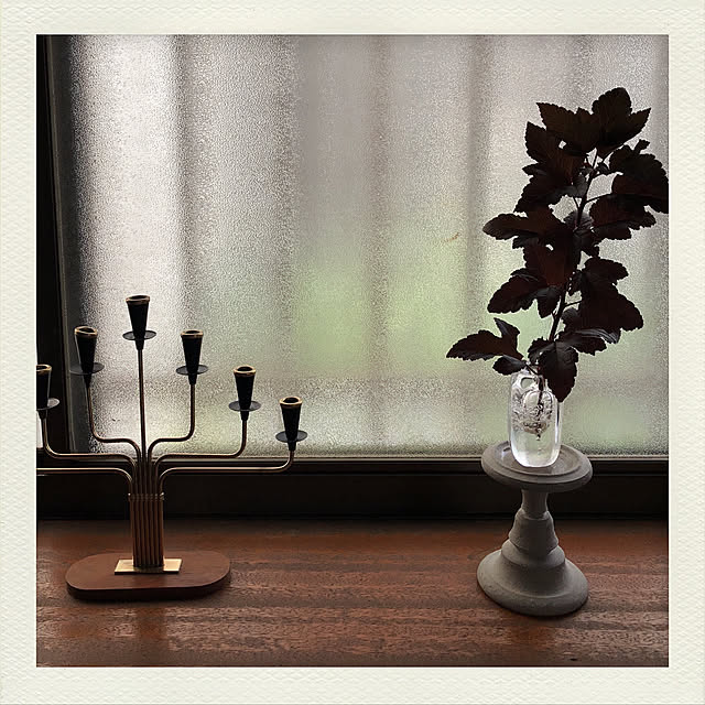 teatreeさんの実例写真